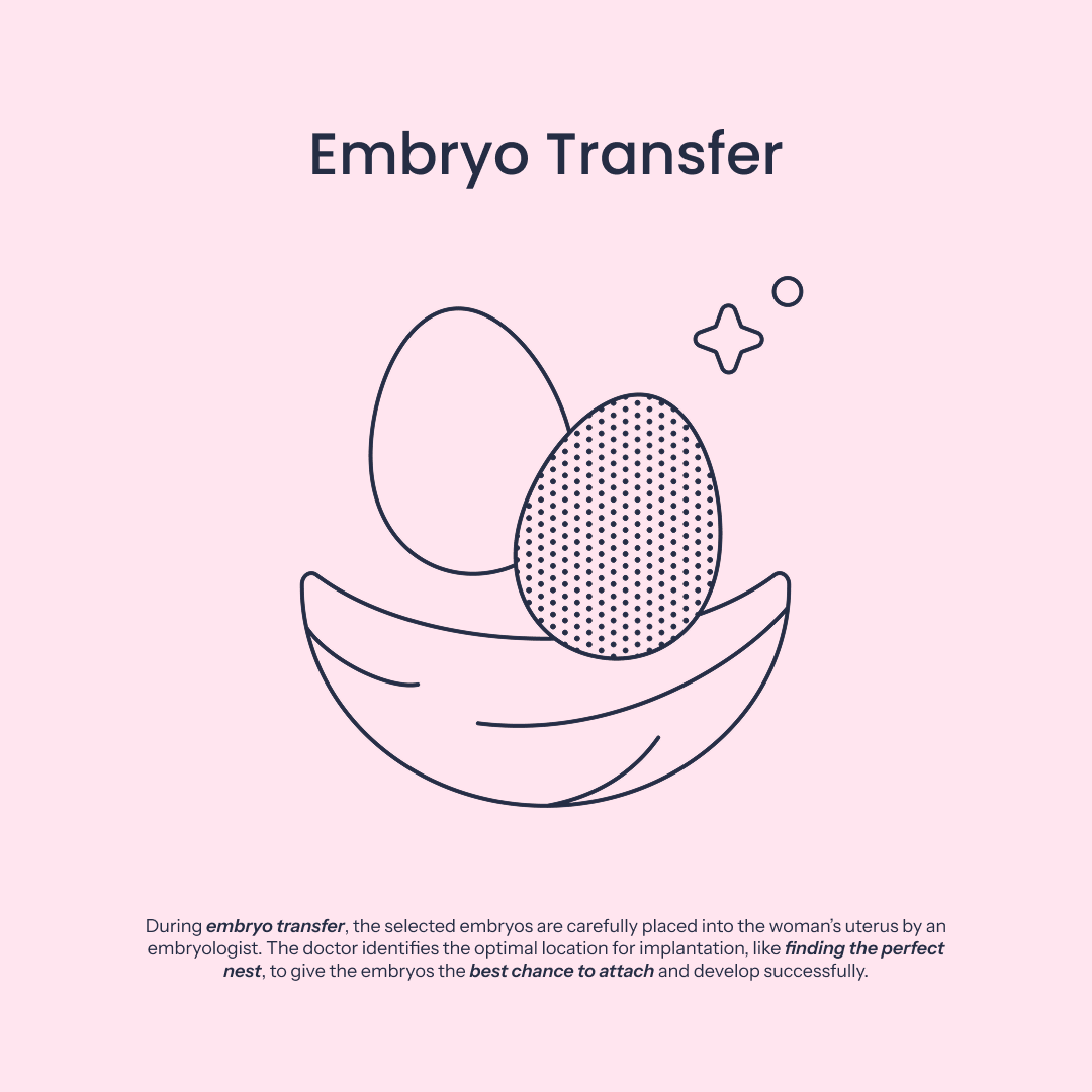 Embryo Transfer Icon